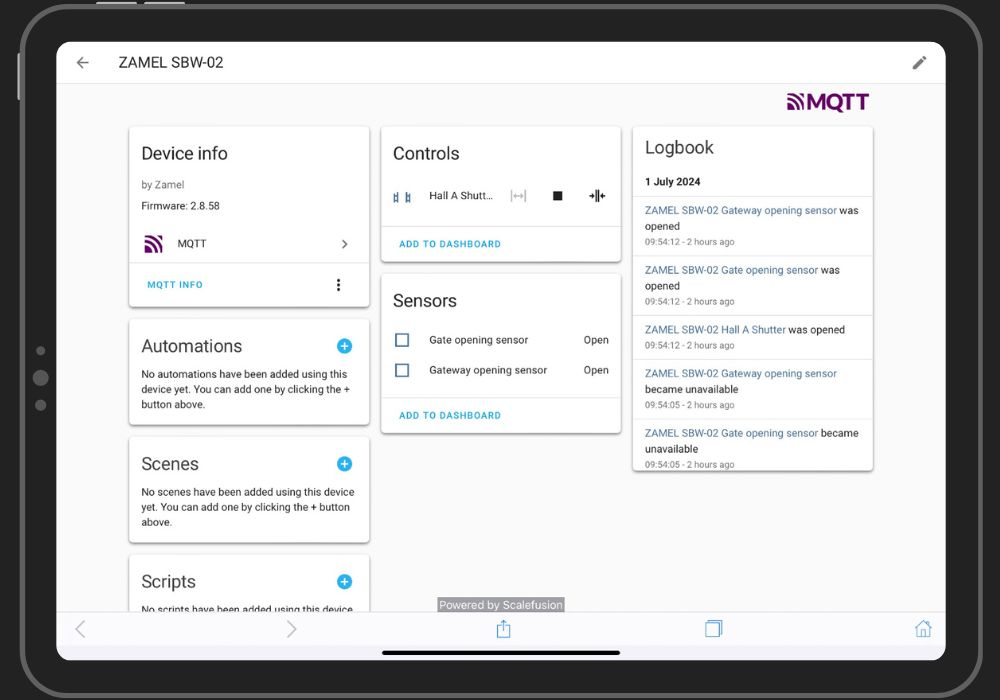 HA MQTT Advaced Options